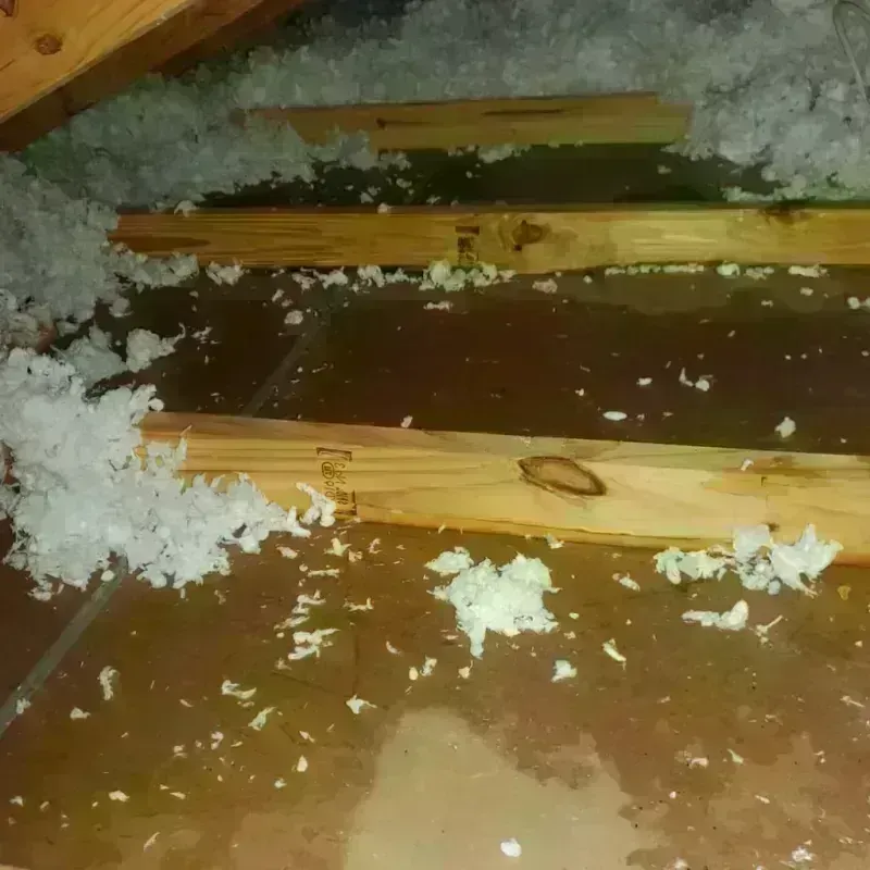 Attic Water Damage in Upshur County, TX